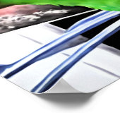 Eclectus Parrot Square Poster (Hoek)