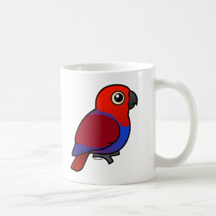 Eclectus Parrot vrouw Koffiemok