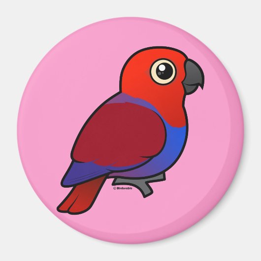 Eclectus Parrot vrouw Magneet (Voorkant)