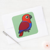 Eclectus Parrot vrouw Vierkante Sticker (Envelop)