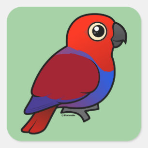 Eclectus Parrot vrouw Vierkante Sticker