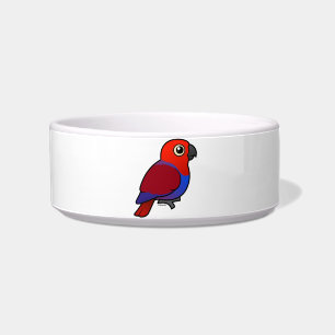 Eclectus Parrot vrouw Voerbakje