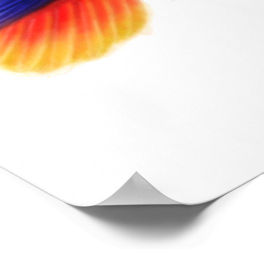 Eclectus Parrots & Bromeliads afdrukken Poster (Hoek)