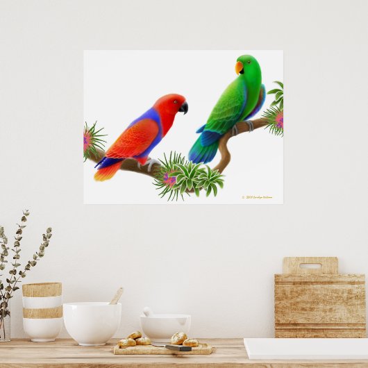 Eclectus Parrots & Bromeliads afdrukken Poster (Keuken)