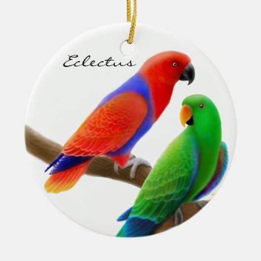 Eclectus Parrots Ornament (Voorkant)
