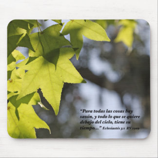 Eclesiastes 3:1 con Hojas Muismat