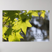 Eclesiastes 3:1 con Hojas Poster (Voorkant)