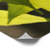 Eclesiastes 3:1 con Hojas Poster (Hoek)