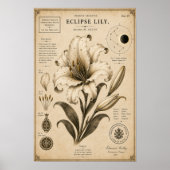 Eclipse Lily Victoriaans Botanisch Museum Print (Voorkant)