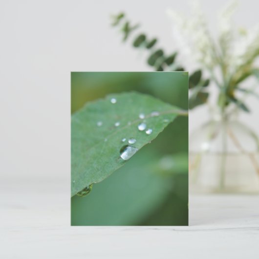 Eco Briefkaart (Staand voorkant)