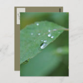 Eco Briefkaart (Voorkant / Achterkant)