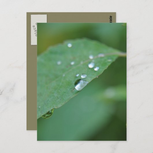 Eco Briefkaart (Voorkant / Achterkant)