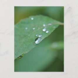 Eco Briefkaart