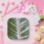 Eco Harmony 7" vierkant papier Bord (Feest)