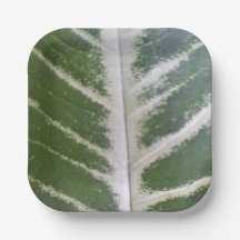 Eco Harmony 7" vierkant papier Bord