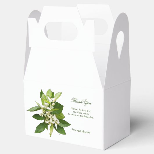 Eco-vriendelijke bruiloft gunt doos - voeg gewoon  bedankdoosjes (Geopend)