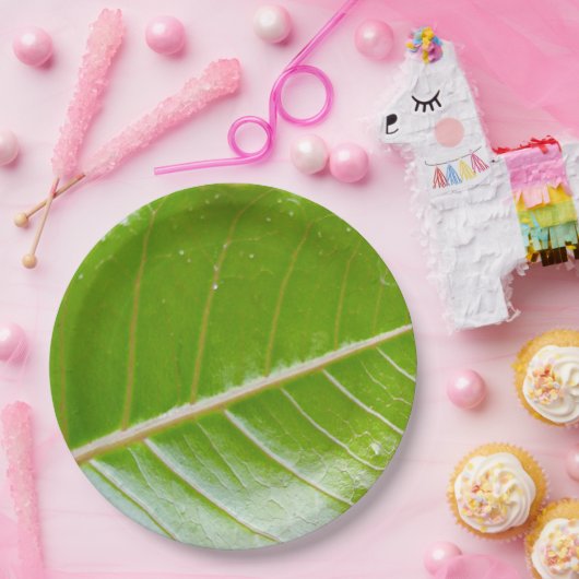 Eco-vriendelijke Green Leaf 9" Round Papieren Bordje (Feest)