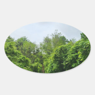 Eco-vriendelijke product stickers