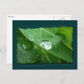 ECO VRIENDELIJKE WATERBEHOUD Gifts & Gear Briefkaart (Voorkant / Achterkant)