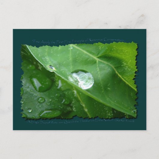 ECO VRIENDELIJKE WATERBEHOUD Gifts & Gear Briefkaart (Voorkant)