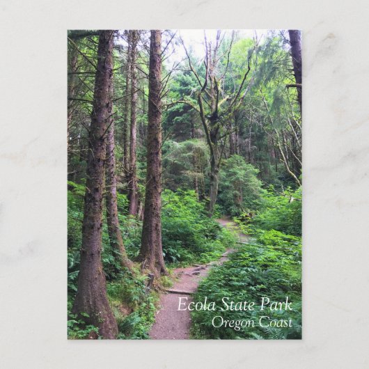 Ecola State Park, Cannon Beach, Oregon Briefkaart (Voorkant)