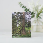 Ecola State Park, Cannon Beach, Oregon Briefkaart (Staand voorkant)