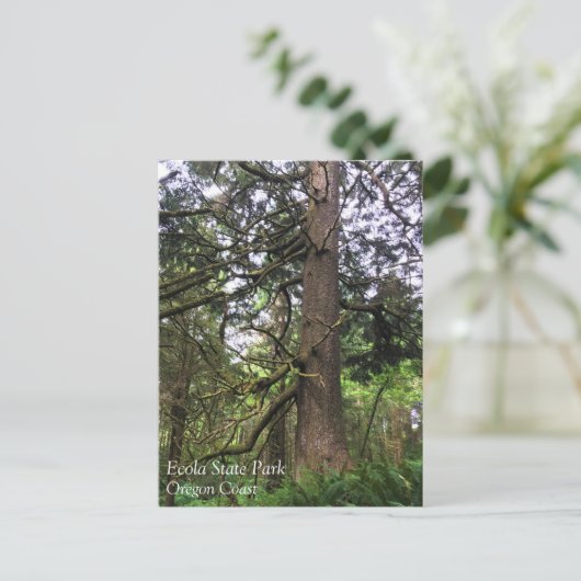 Ecola State Park, Cannon Beach, Oregon Briefkaart (Staand voorkant)