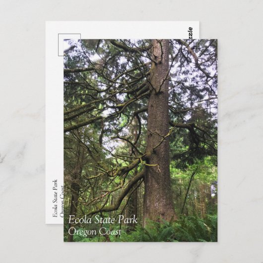 Ecola State Park, Cannon Beach, Oregon Briefkaart (Voorkant / Achterkant)