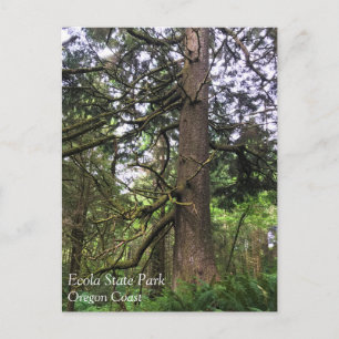 Ecola State Park, Cannon Beach, Oregon Briefkaart