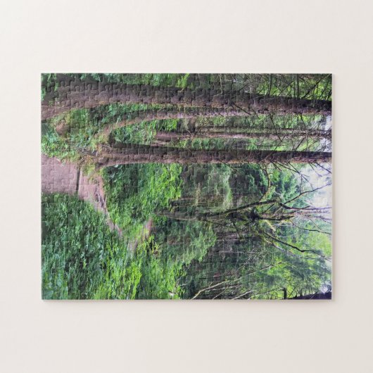 Ecola State Park, Cannon Beach, Oregon Legpuzzel (Horizontaal)