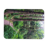 Ecola State Park, Cannon Beach, Oregon Magneet (Horizontaal)