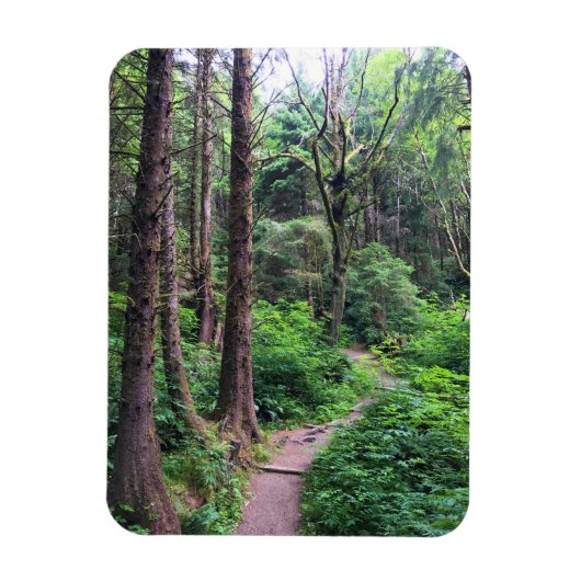 Ecola State Park, Cannon Beach, Oregon Magneet (Verticaal)