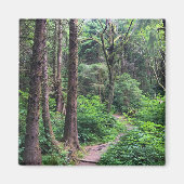 Ecola State Park, Cannon Beach, Oregon Magneet (Voorkant)