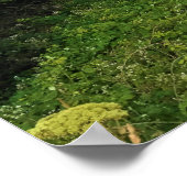 Ecola State Park, Cannon Beach, Oregon Poster (Hoek)