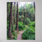 Ecola State Park, Cannon Beach, Oregon Poster (Voorkant)