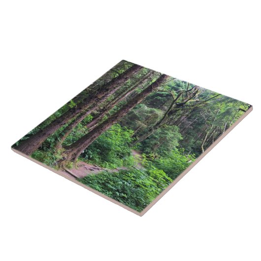 Ecola State Park, Cannon Beach, Oregon Tegeltje (Zijkant)