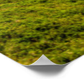 Ecola State Park, Oregon. Panorama of Crescent Poster (Hoek)