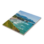 Ecola State Park, Oregon. Panorama van Crescent Tegeltje (Zijkant)