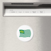 Ecologie Beweging Vlag Magneet (Insitu (Vaatwasser))