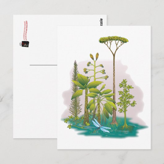 Ecologie : plant een boom - briefkaart (Voorkant / Achterkant)