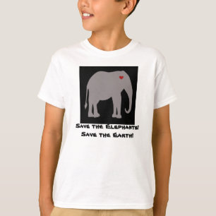 Ecology Ringer T-shirt