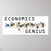 Economie Genius Poster (Voorkant)