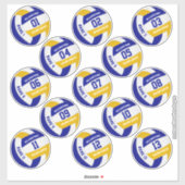 economische reeks van 13 volleybalteamkleuren sticker (Vel)
