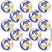 economische reeks van 13 volleybalteamkleuren sticker (Voorkant)