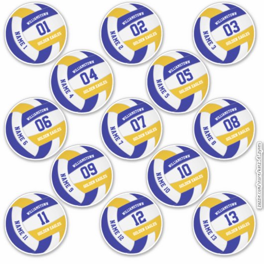 economische reeks van 13 volleybalteamkleuren sticker (Voorkant)