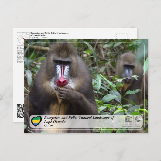 Ecosysteem en cultuurlandschap van Lopé-Okanda Briefkaart (Voorkant / Achterkant)