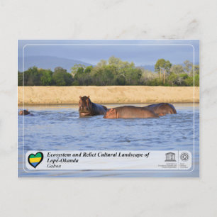 Ecosysteem en cultuurlandschap van Lopé-Okanda Briefkaart