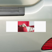 ecs oranje en wit chillen bumpersticker (Op auto)