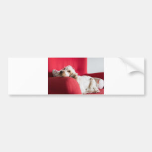 ecs oranje en wit chillen bumpersticker