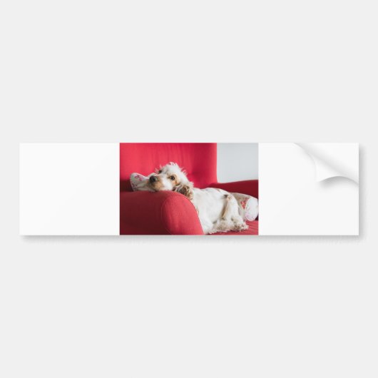 ecs oranje en wit chillen bumpersticker (Voorkant)